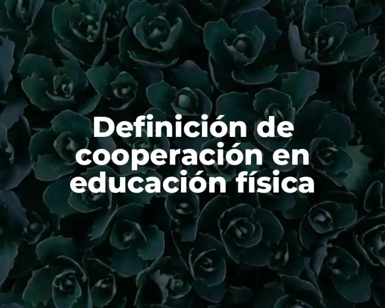 Definición de cooperación en educación física