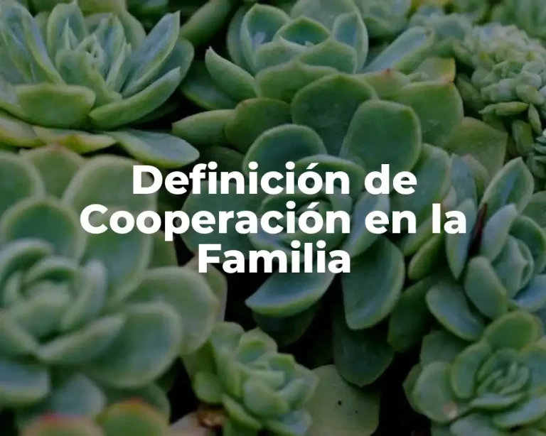 Definición de Cooperación en la Familia