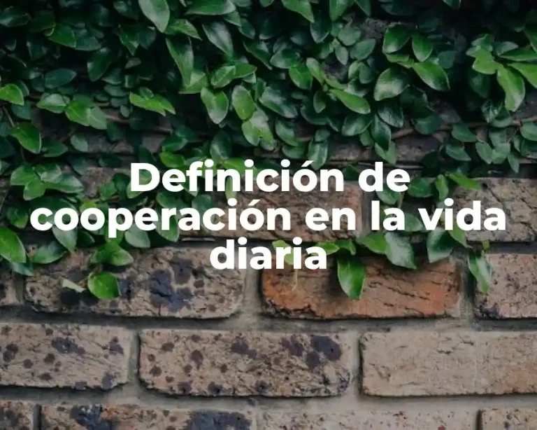 Definición de cooperación en la vida diaria