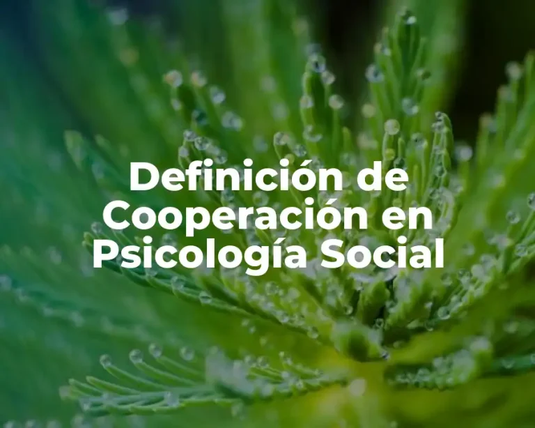 Definición de Cooperación en Psicología Social