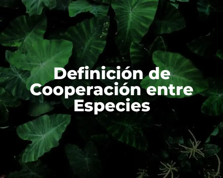 Definición de Cooperación entre Especies