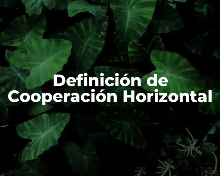 Definición de Cooperación Horizontal