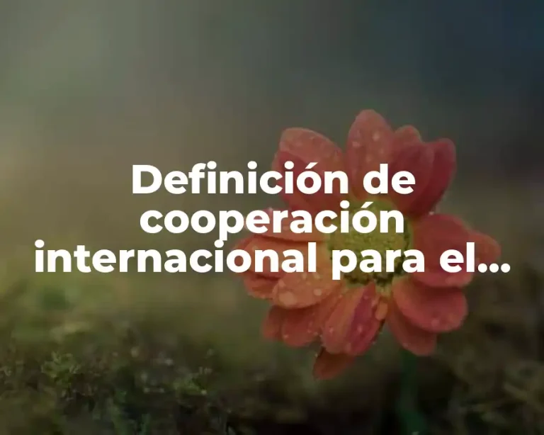 Definición de cooperación internacional para el desarrollo