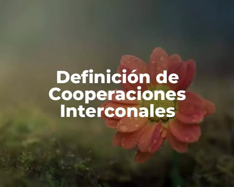 Definición de Cooperaciones Interconales