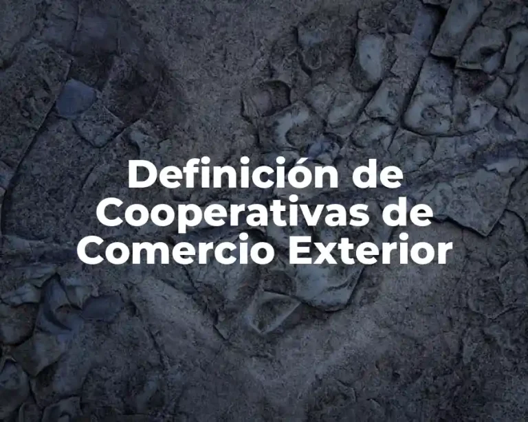 Definición de Cooperativas de Comercio Exterior