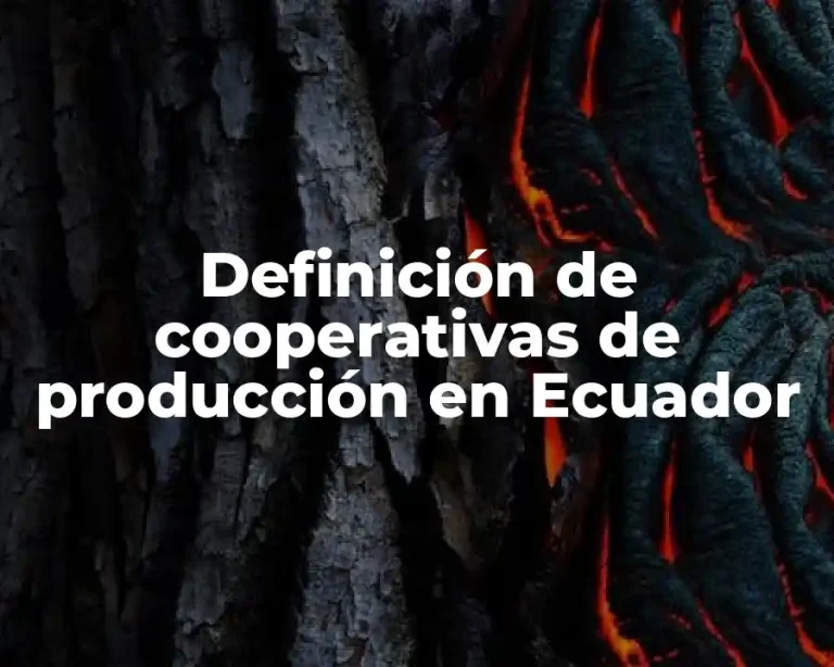 Definición de cooperativas de producción en Ecuador
