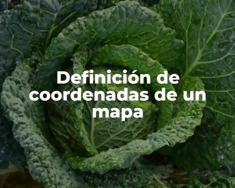 Definición de coordenadas de un mapa