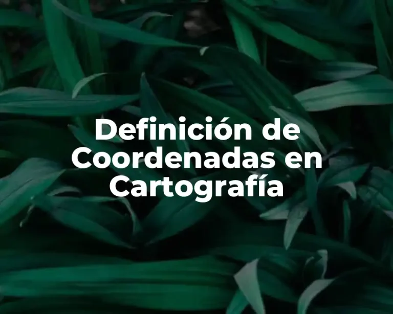 Definición de Coordenadas en Cartografía