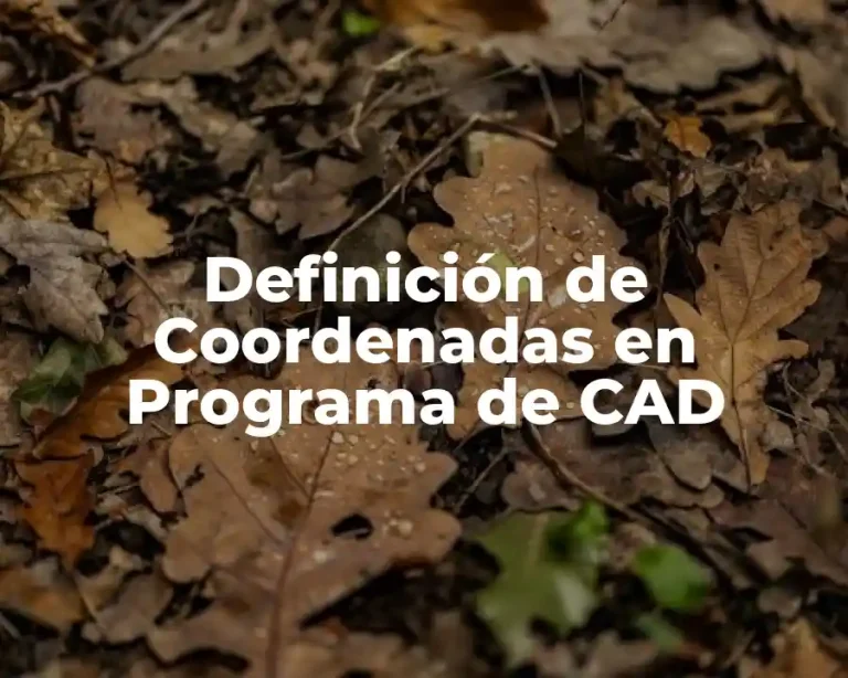 Definición de Coordenadas en Programa de CAD