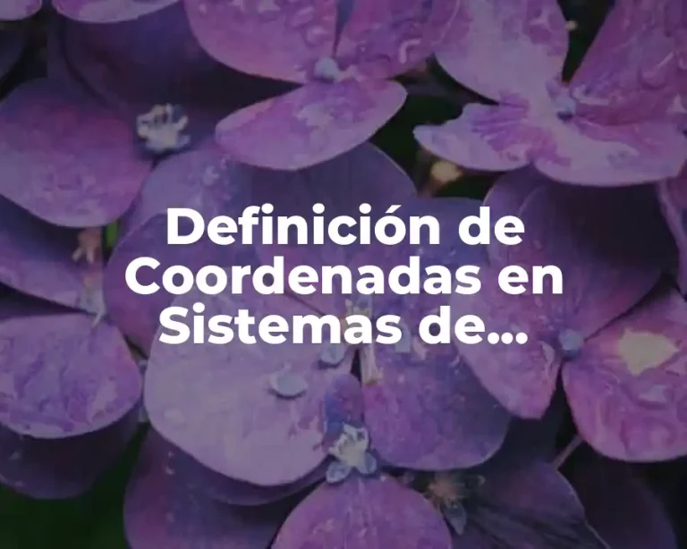 Definición de Coordenadas en Sistemas de Información Geográfica