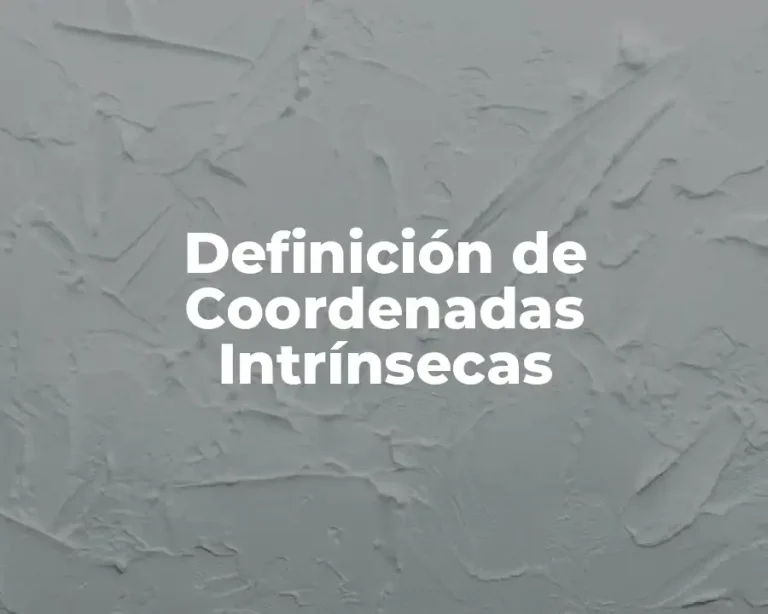 Definición de Coordenadas Intrínsecas
