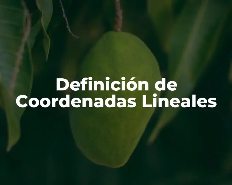 Definición de Coordenadas Lineales