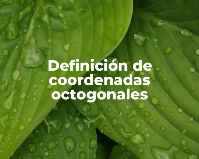 Definición de coordenadas octogonales