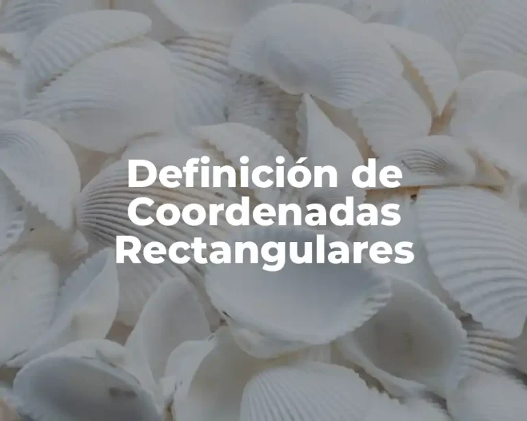 Definición de Coordenadas Rectangulares