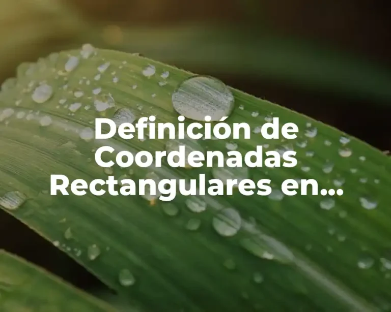 Definición de Coordenadas Rectangulares en Transferencia de Calor