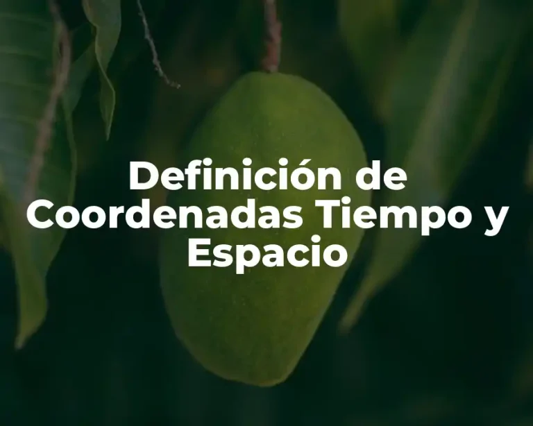 Definición de Coordenadas Tiempo y Espacio