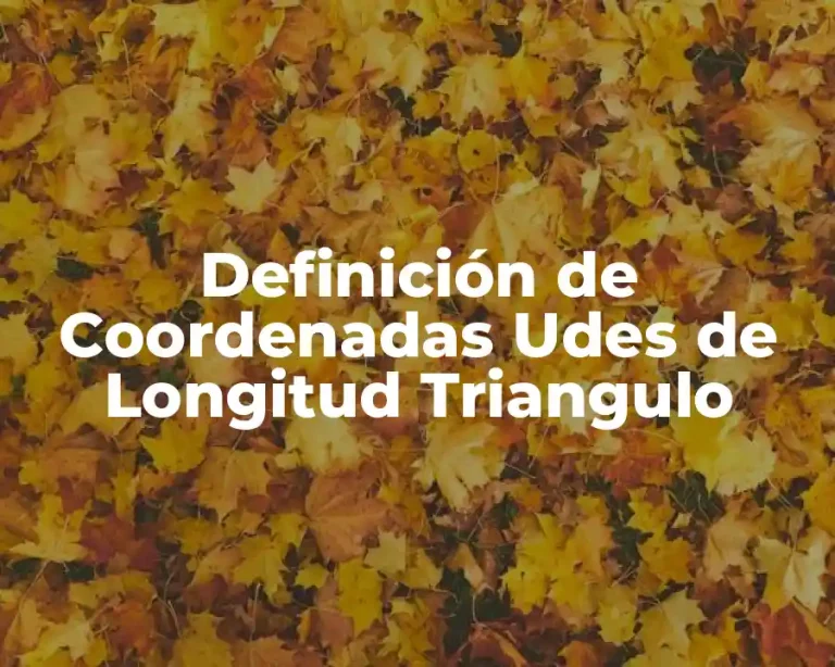 Definición de Coordenadas Udes de Longitud Triangulo