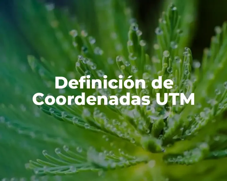 Definición de Coordenadas UTM