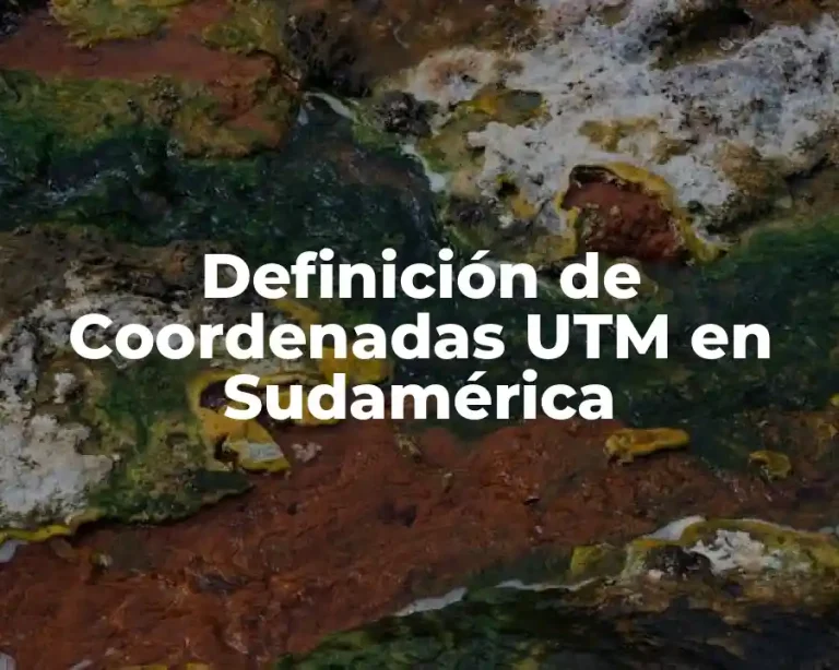 Definición de Coordenadas UTM en Sudamérica