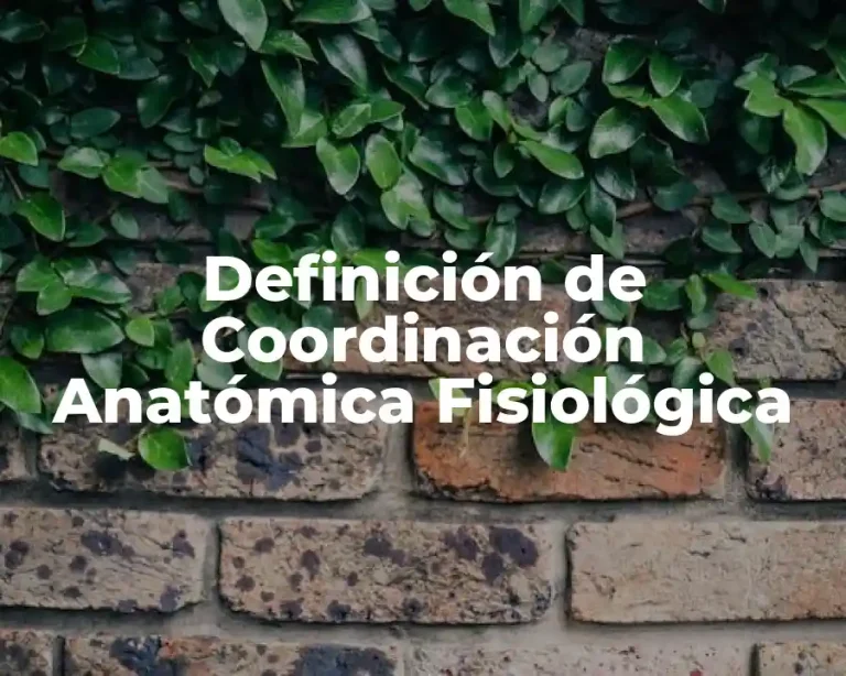 Definición de Coordinación Anatómica Fisiológica