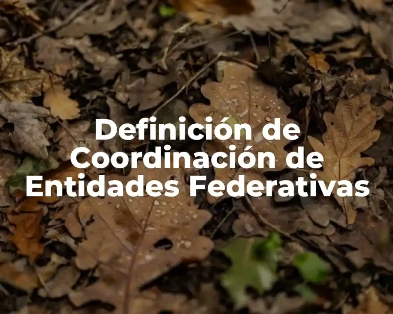 Definición de Coordinación de Entidades Federativas