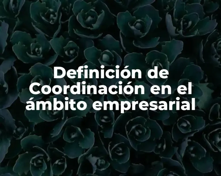 Definición de Coordinación en el ámbito empresarial