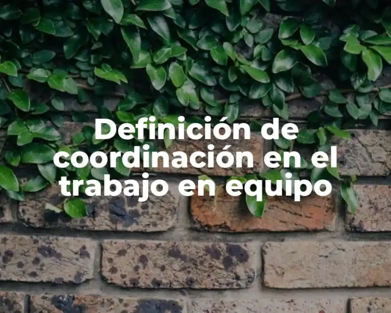 Definición de coordinación en el trabajo en equipo