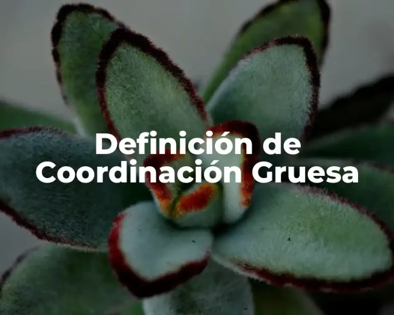 Definición de Coordinación Gruesa