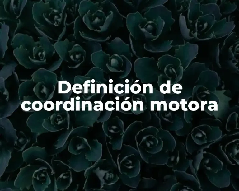 Definición de coordinación motora