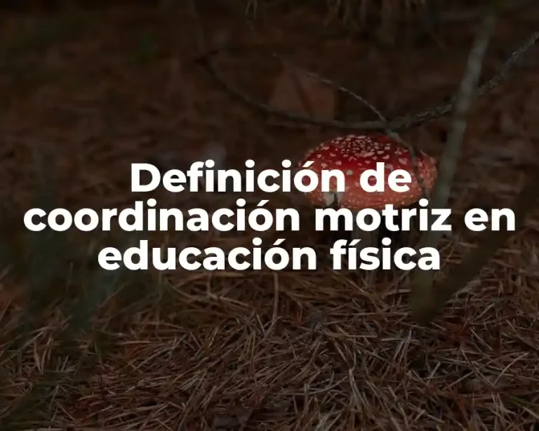 Definición de coordinación motriz en educación física