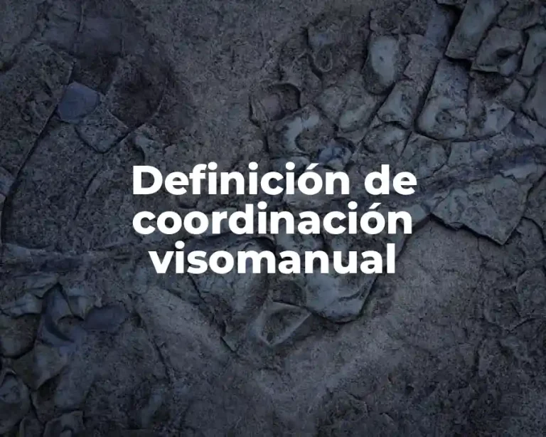 Definición de coordinación visomanual