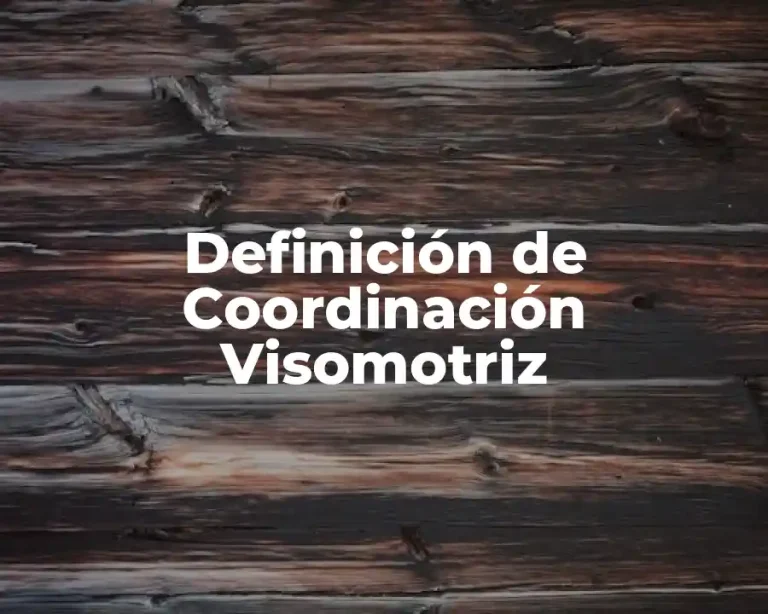 Definición de Coordinación Visomotriz