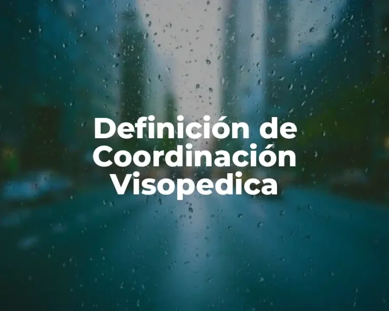 Definición de Coordinación Visopedica