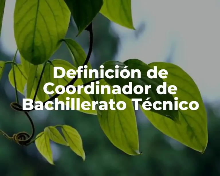 Definición de Coordinador de Bachillerato Técnico