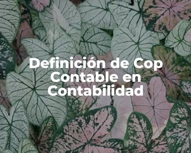 Definición de Cop Contable en Contabilidad