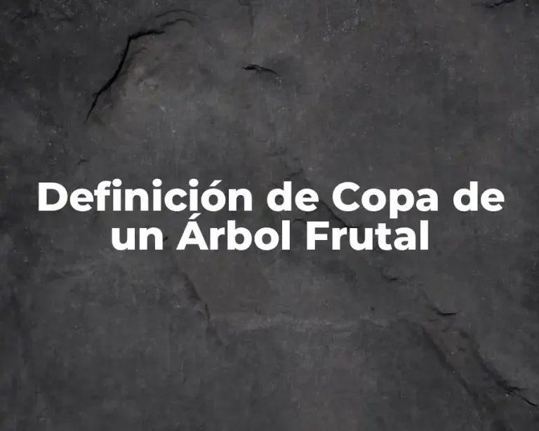 Definición de Copa de un Árbol Frutal