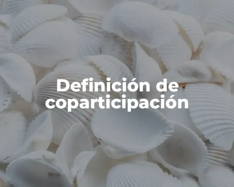 Definición de coparticipación
