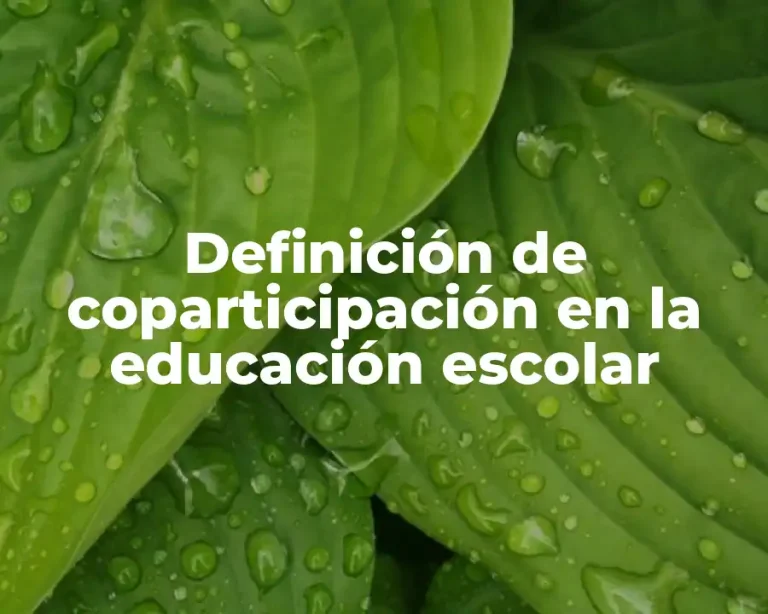 Definición de coparticipación en la educación escolar