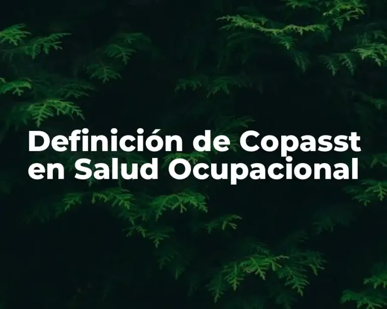 Definición de Copasst en Salud Ocupacional