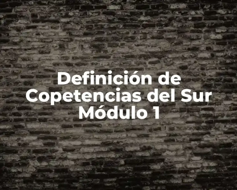 Definición de Copetencias del Sur Módulo 1