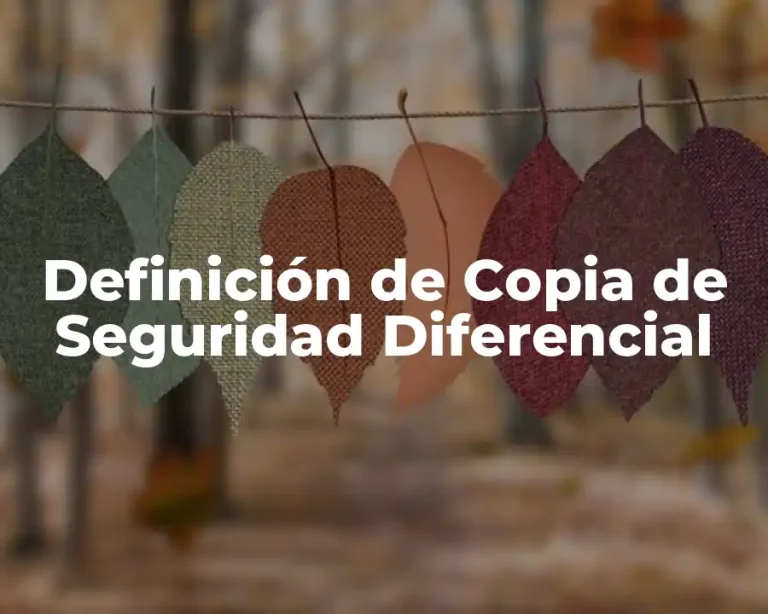 Definición de Copia de Seguridad Diferencial