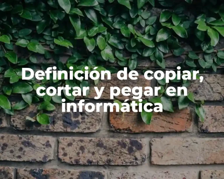 Definición de copiar, cortar y pegar en informática