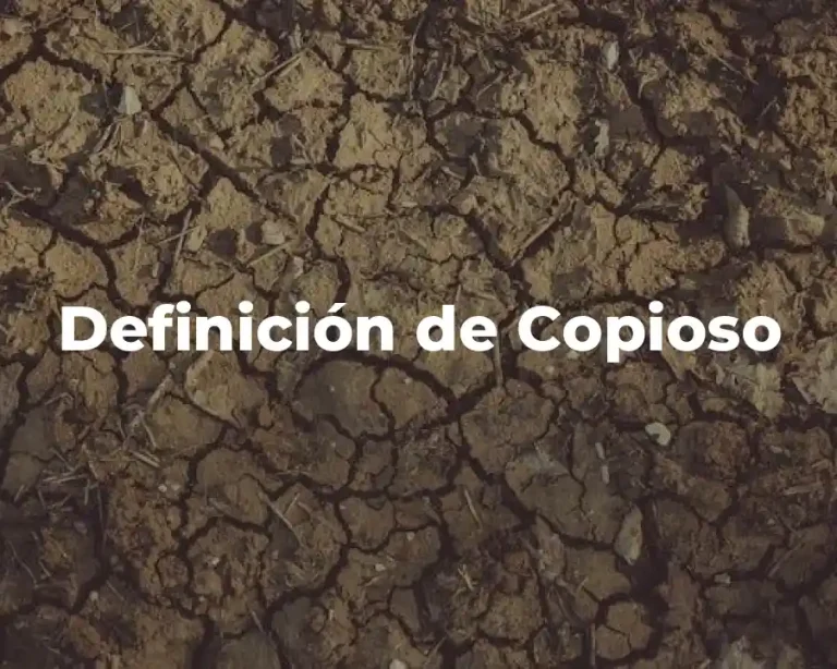 Definición de Copioso