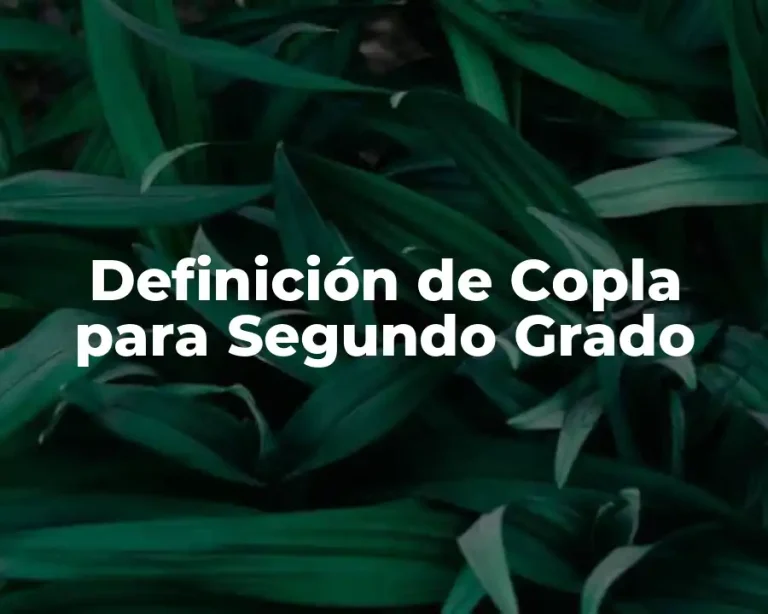 Definición de Copla para Segundo Grado