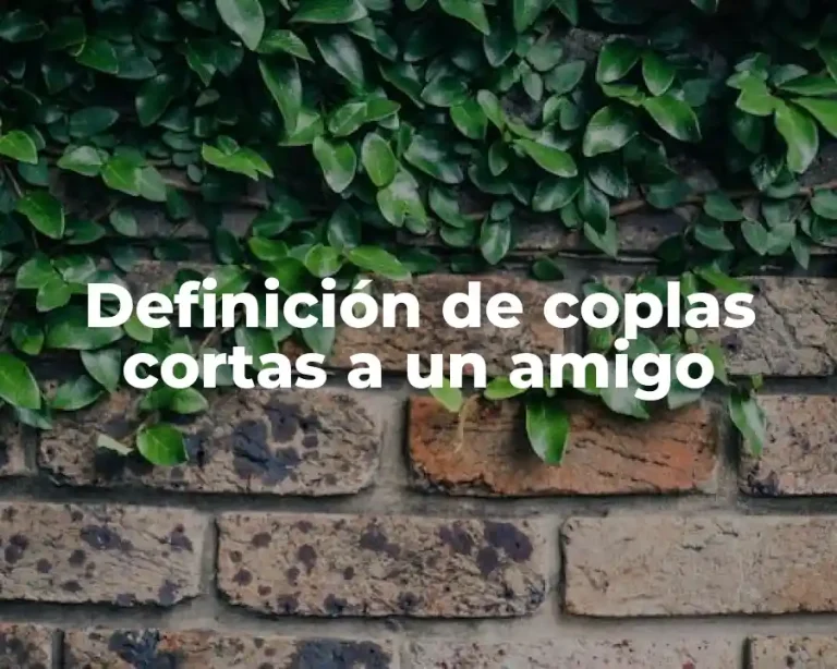 Definición de coplas cortas a un amigo