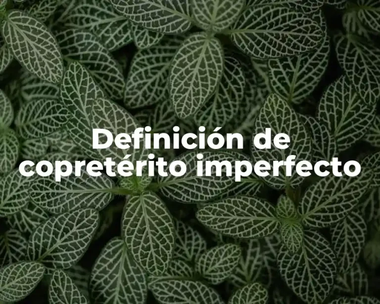 Definición de copretérito imperfecto