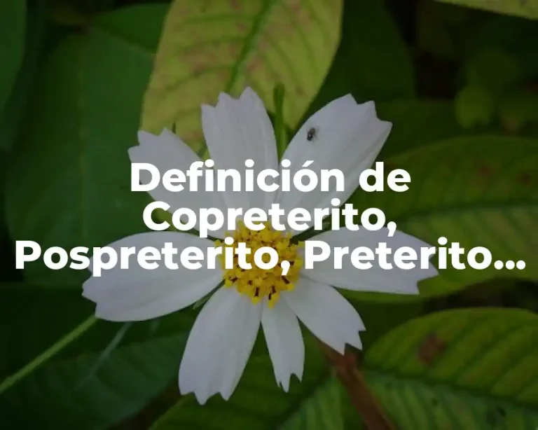 Definición de Copreterito, Pospreterito, Preterito Pasado y Futuro