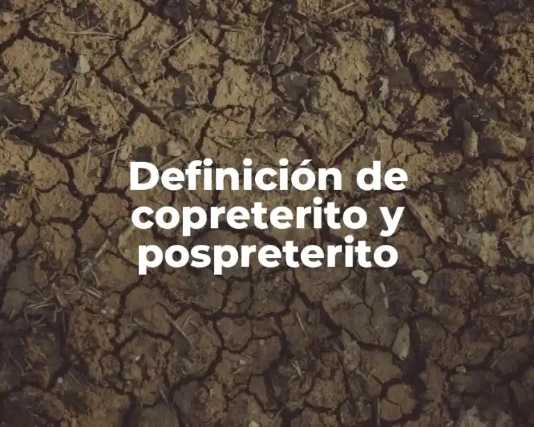 Definición de copreterito y pospreterito