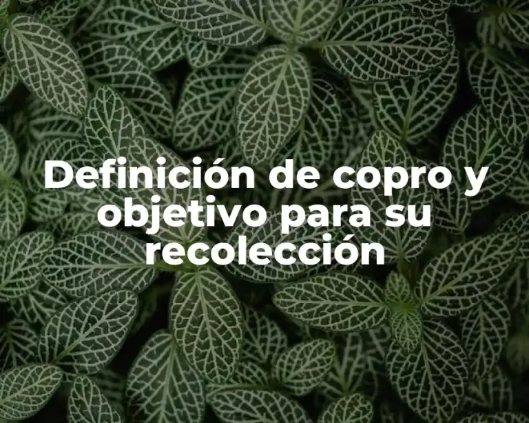 Definición de copro y objetivo para su recolección