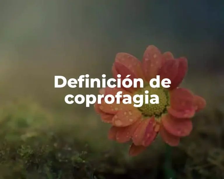 Definición de coprofagia